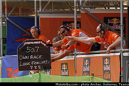 cross_herlings_21_portugal_agueda_2011.jpg