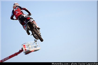 cross_ lupino_001_allemagne_teutschenthal_2011.jpg