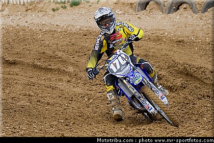 mx2_irsuti_001_sommieres_2012.jpg