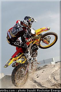 desalle_012.jpg