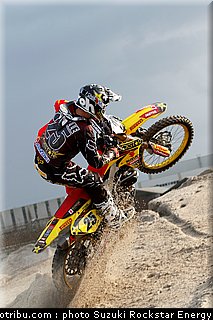 desalle_019.jpg