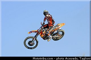 cairoli_021_motocross_2013_team_ktm_mx1_et_mx2.jpg