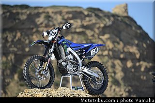 frossard_16_motocross_monster_energy_yamaha_racing_team_2013.jpg
