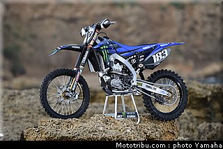 frossard_17_motocross_monster_energy_yamaha_racing_team_2013.jpg