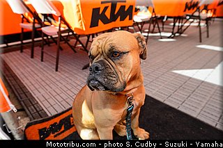 roczen_011_supercross_us_2013_san_diego.jpg