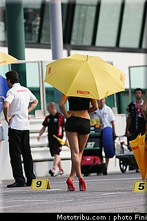 civ_pitbabe_29_misano_juillet_2010.JPG