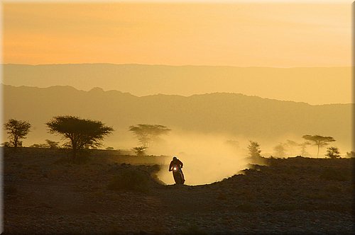 ktm-dakar2007-0038.jpg