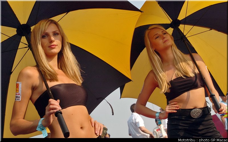 0110_pitbabes_macao2004_026