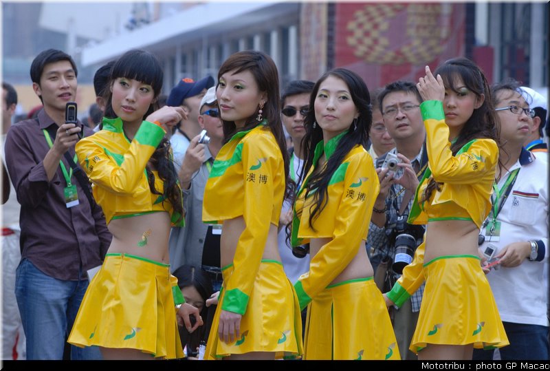 081_macao_pitbabes2006_04