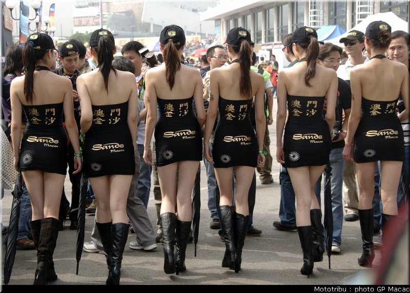 085_macao_pitbabes2006_08