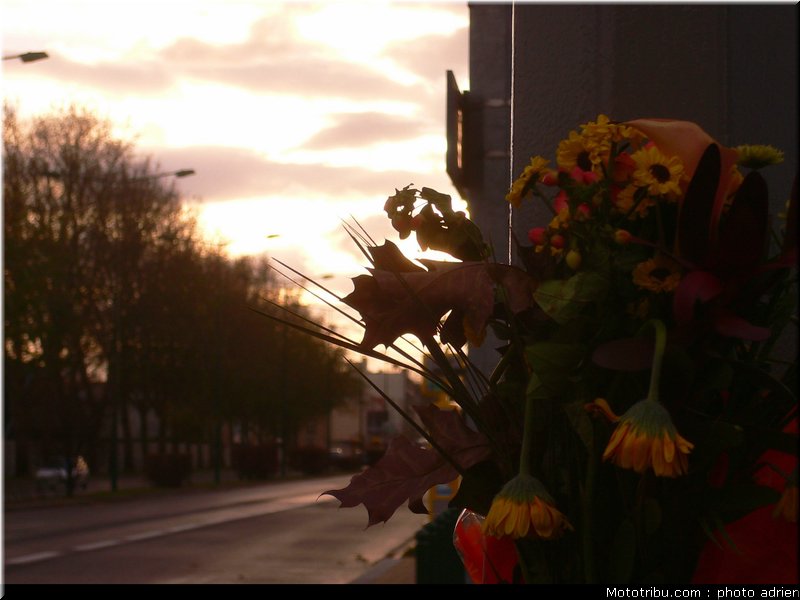 bruno_bonhuil_reims_nov2008_06