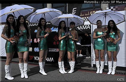 pitbabes_macao2008_007.jpg