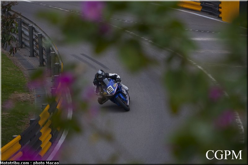 macao_2010_johnson_d_4