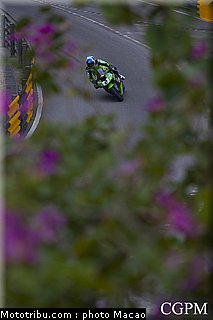 macao_2010_amor_2.jpg