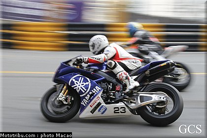 macao_2010_dokoupil_3.jpg