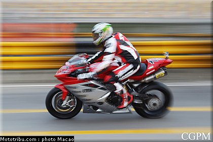 macao_2010_saiger_1.jpg