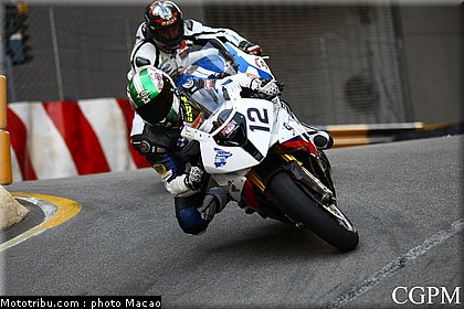 saiger_003_macao_2011.jpg
