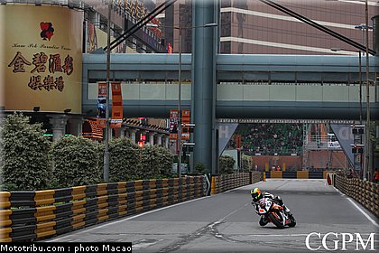 storrar_002_macao_2011.jpg