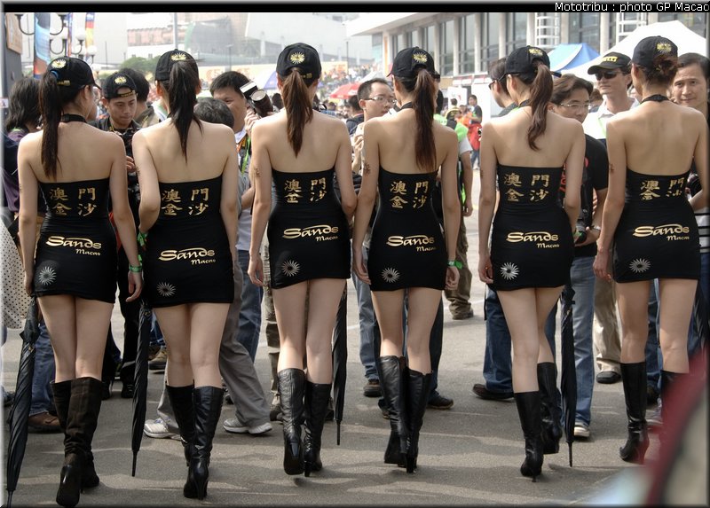 pitbabes_macao2006_001