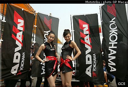 pitbabes_macao2007_010.jpg