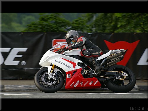 tt2008-0031.jpg