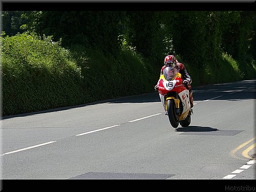 tt2008-0039.jpg