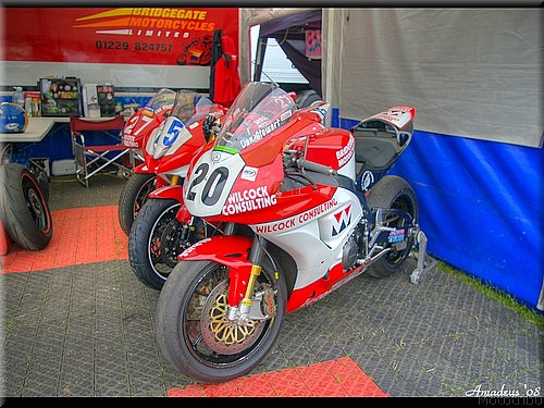tt2008-0094.jpg
