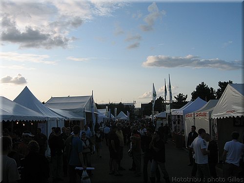 boldor_2008_012.JPG
