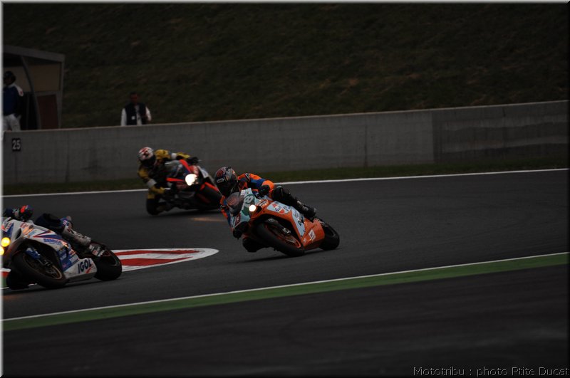 boldor_2008_15