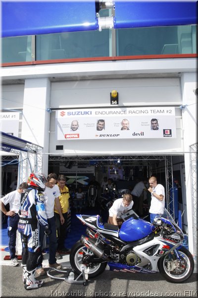 suzuki_2