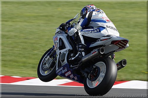 suzuki_dietrich_1.jpg