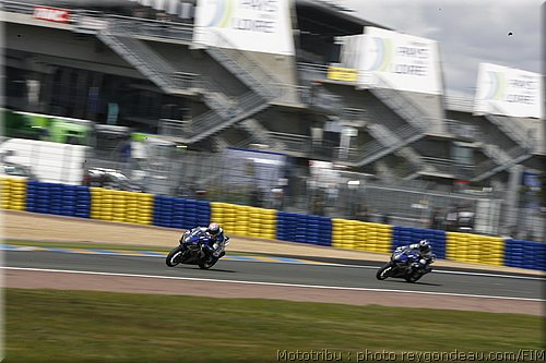 0118_fin-sert1.JPG