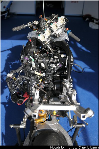 paddock_0013