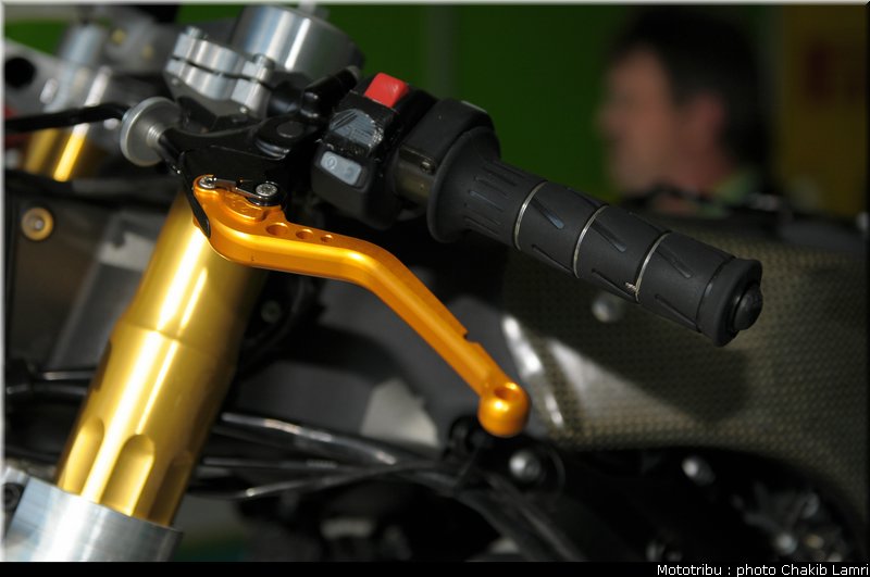 paddock_0019