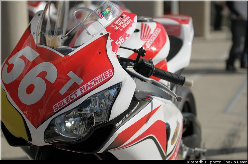 paddock_0023