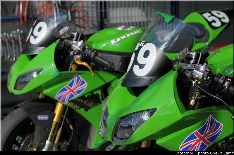 paddock_0024