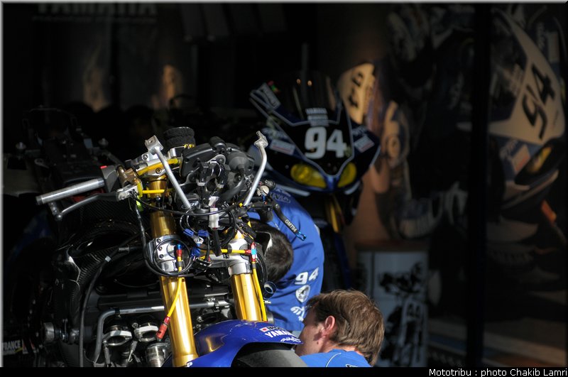 paddock_0025