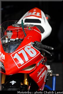 paddock_0003.jpg