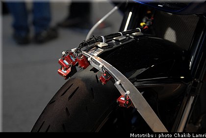 paddock_0007.jpg