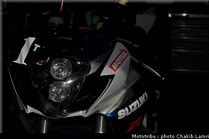paddock_0009.jpg