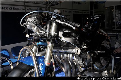 paddock_0010.jpg