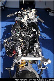 paddock_0013.jpg