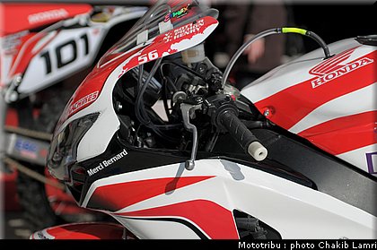 paddock_0022.jpg