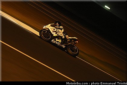 bol_dor_014_2010.JPG