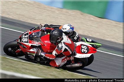 bol_dor_023_2010.JPG