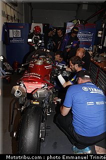 bol_dor_036_2010.JPG