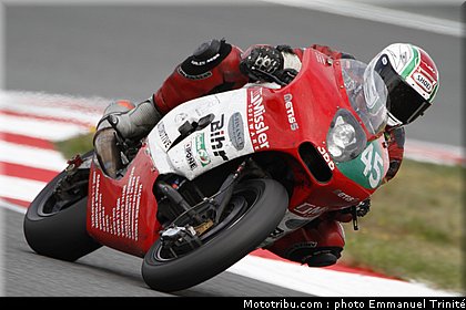 bol_dor_metiss_1_2010.JPG