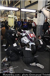bol_dor_qert_1_2010.JPG