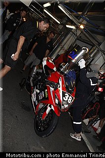 bol_dor_tms_09_2010.JPG
