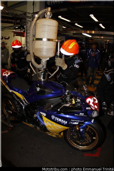 bol_dor_2011_0333_viltais_04